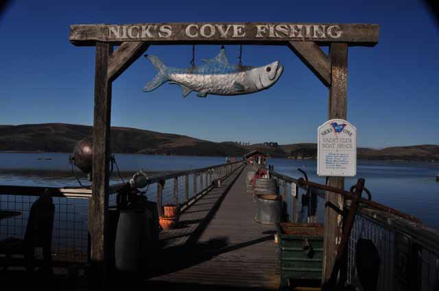Nick's Cove pier